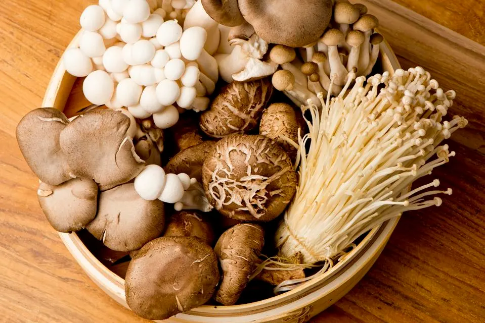 Best Mushroom Supplements for Anxiety and Stress